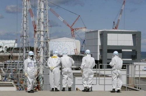Publication du rapport sur la catastrophe de Fukushima - ảnh 1